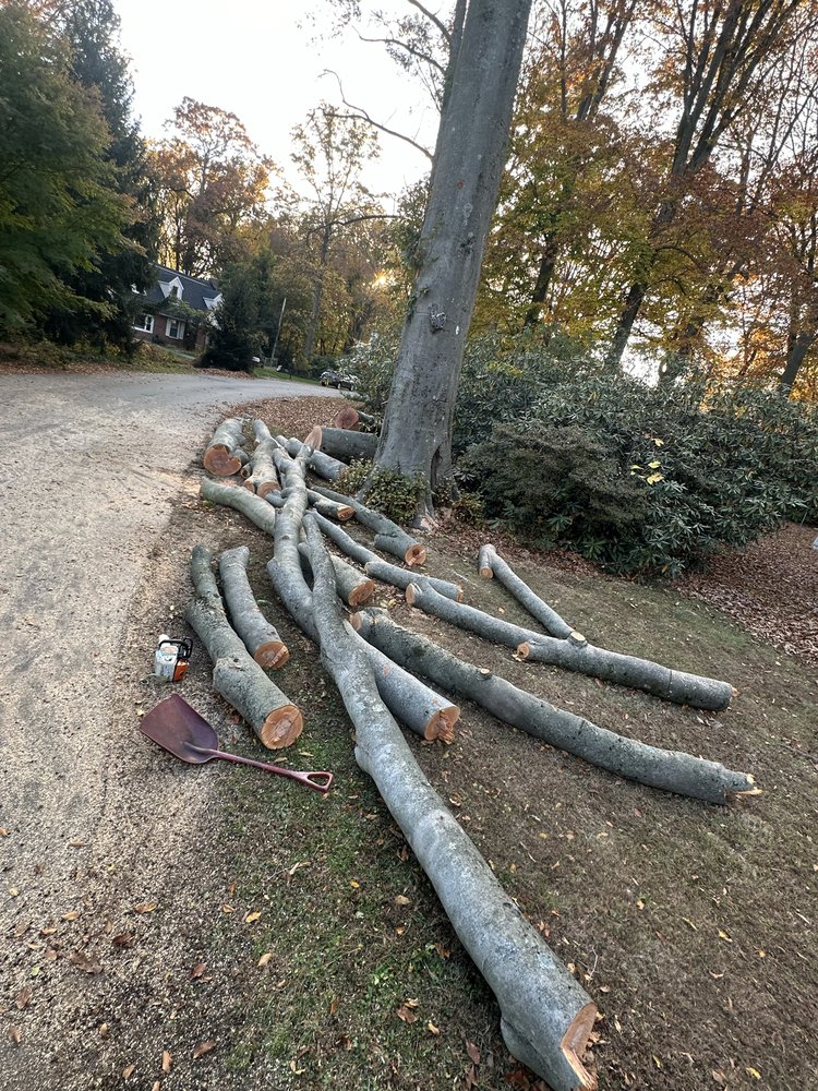 Santos Tree Services - tree service in Philadelphia, PA