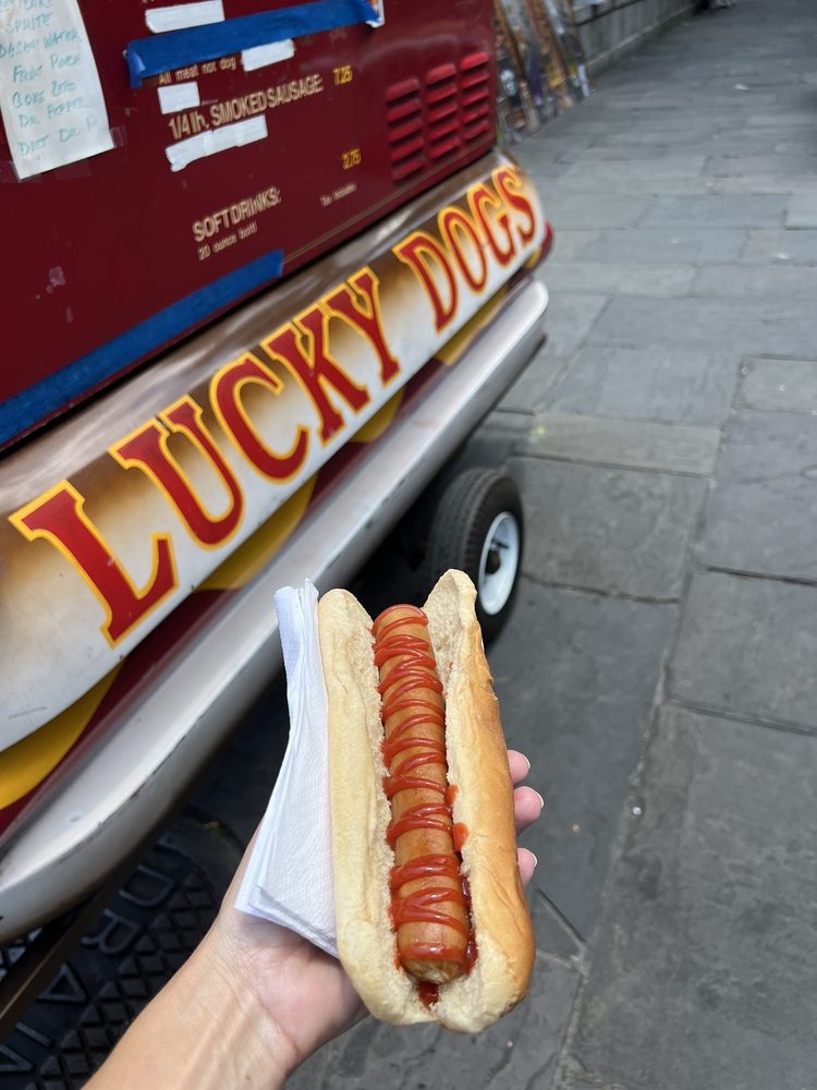 LUCKY DOGS 39 Photos & 84 Reviews 517 Gravier St, New Orleans