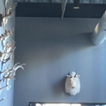 Hinterland Brewery - Horned animal wall art - New American Near Me - Green Bay, Wisconsin Hinterland Brewery - Horned animal wall art - New American Near Me - Green Bay, Wisconsin