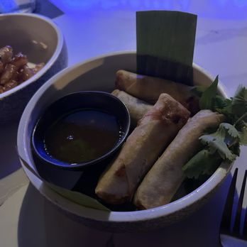 Meo Bar - Pork eggrolls - Speakeasies Near Me - Houston, Texas