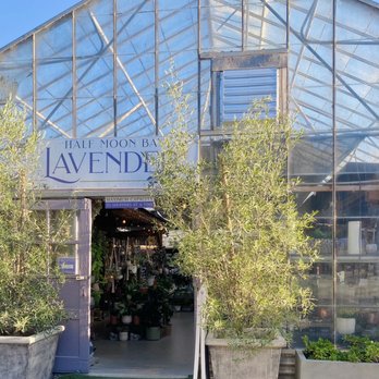 Half Moon Bay Lavender - Nurseries & Gardening Near Me - Half Moon Bay, California Half Moon Bay Lavender - Nurseries & Gardening Near Me - Half Moon Bay, California