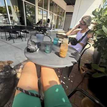 Borsalino - Plantation - Vanilla Iced Latte and Iced Chai Spice Latte - Cafes Near Me - Plantation, Florida Borsalino - Plantation - Vanilla Iced Latte and Iced Chai Spice Latte - Cafes Near Me - Plantation, Florida