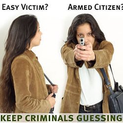 Firearms Academy of Redding