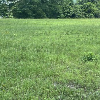 BDR Trucking & Tractor - a cow in a field - Lawn Services Near Me BDR Trucking & Tractor - a cow in a field - Lawn Services Near Me