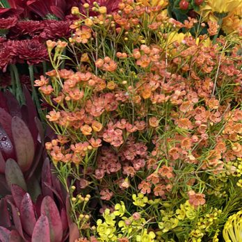 The Waters Edge Flowers - Florists Near Me - Newport, Rhode Island