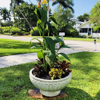 Pottery Express and Bamboo Farm - Nurseries & Gardening Near Me - Punta Gorda, Florida Pottery Express and Bamboo Farm - Nurseries & Gardening Near Me - Punta Gorda, Florida
