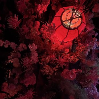 Fortunate Son - Cute place - Chinese Near Me - San Diego, California