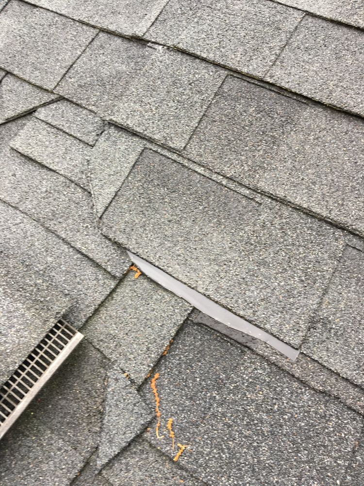 Slide of Mighty Dog Roofing of Greenville