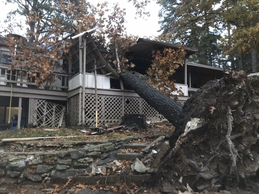 Lombard Tree Service - tree service in Rogers, AR