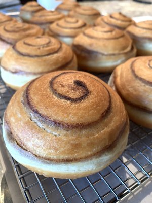 Max'd Out Donuts by null