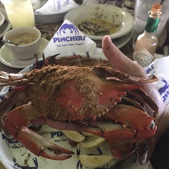 Pinchers - Big Maryland blue crabs. Ordered 6 and all 6 were males. So no egg-bearing innards. - Seafood Near Me - Naples, Florida