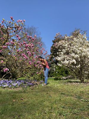 Parc Bagatelle - la Roseraie by null