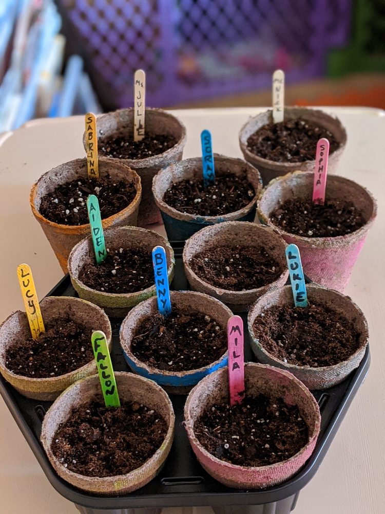 JULIE’S EARLY BIRDS DAYCARE Updated September 2024 12 Photos & 17