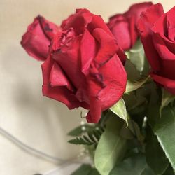 Storey's Florist