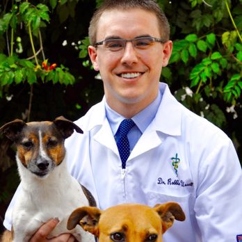 reptile animal vet near me