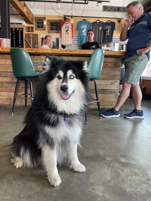 Lone Wolfe Brewing Company by null