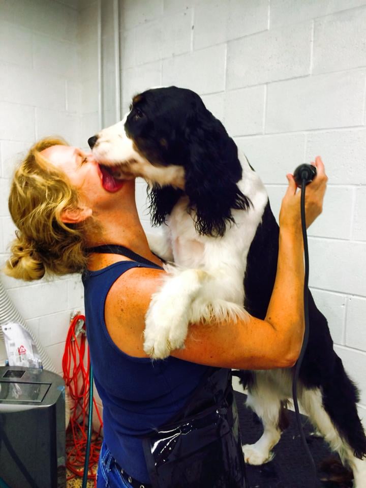 BARK PALACE DOGGIE DAYCARE & KENNEL Updated October 2024 12 Reviews