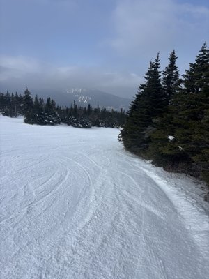 Sugarloaf Mountain by null