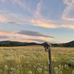 Fairmont RV Park - View from the back spots.
