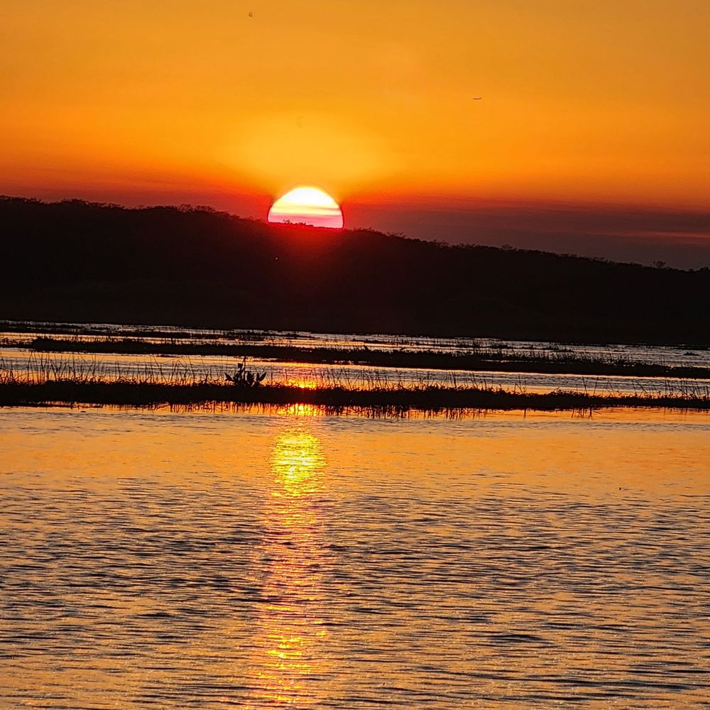 49ers deliver near-perfect example of playoff formula in Colts blowout |  Niners Nation, image size:1000x1000