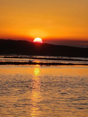 CAPT DUKE’S AIRBOAT RIDES - Updated August 2025 - 589 Photos & 33 Reviews - 28500 E Colonial Dr ...