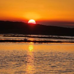 Capt Duke's Airboat Rides