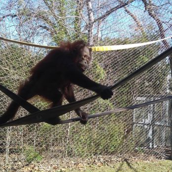 Cameron Park Zoo - Zoos Near Me - Waco, Texas Cameron Park Zoo - Zoos Near Me - Waco, Texas