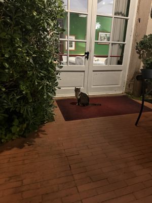 Hotel Villa La Principessa by null