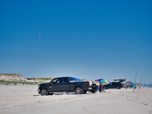 Island Beach State Park by null