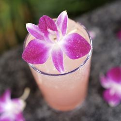 The Jungle Mexican Cantina - Barbie Long Island - Our cocktail with a playful twist of flavors of rose liqueur and pink lemonade!