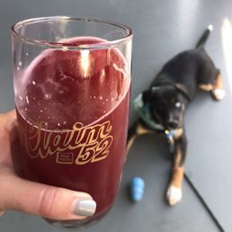 a dog and a glass of beer