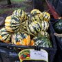Testa's Farm Market
