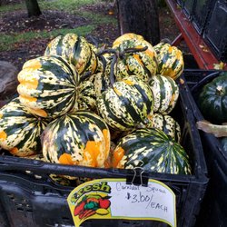 Testa's Farm Market