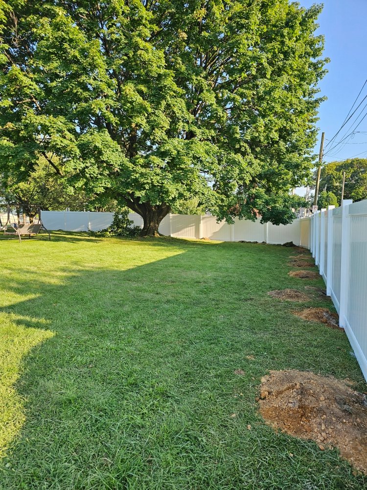 Slide of Frconstruction