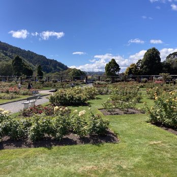 Wellington Botanical Gardens - Rose Garden - Botanical Gardens Near Me - Wellington, WGN