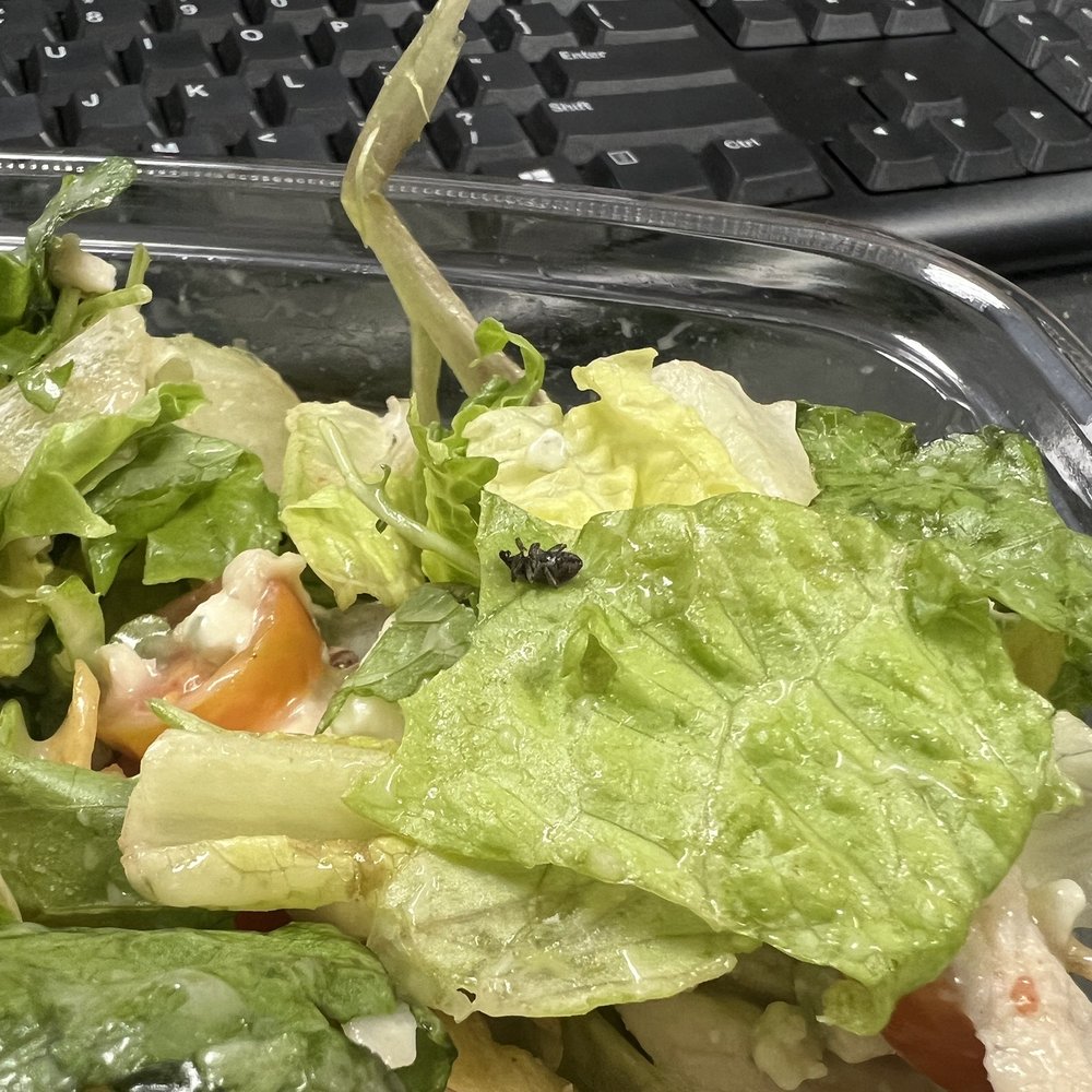 Panera Bread - Bugs in salad - Sandwiches Near Me - Northridge, California