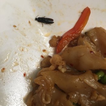 109 Thaiana - Bug in my 30. Drunken Noodle - Thai Near Me - West Babylon, New York 109 Thaiana - Bug in my 30. Drunken Noodle - Thai Near Me - West Babylon, New York