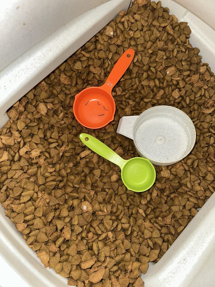 Pet Supermarket Image