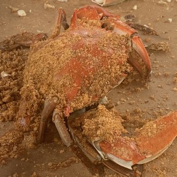 L P Steamers - Yum - Seafood Near Me - Baltimore, Maryland