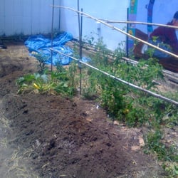 The Secret Garden - More garden