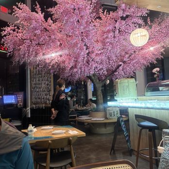 Crazy Sushi - Decor - Sushi Bars Near Me - Tigard, Oregon