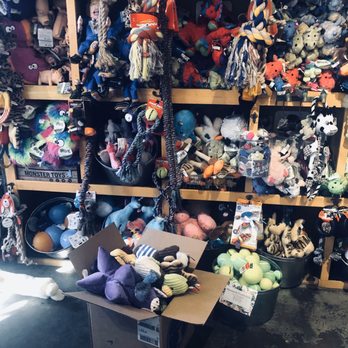 Mouthfuls - Pet Services Near Me - Denver, Colorado Mouthfuls - Pet Services Near Me - Denver, Colorado