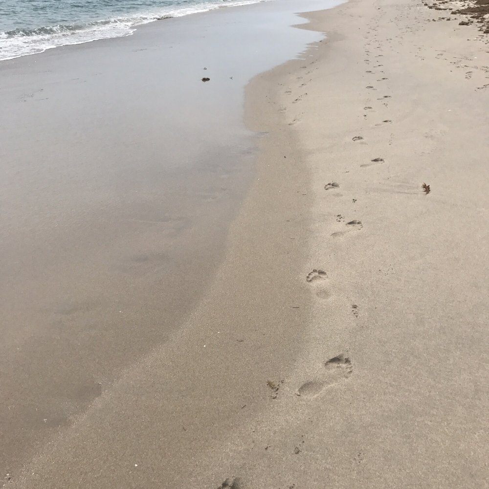Sandy shore Sandy shore