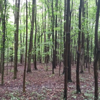 Penitentiary Glen Reservation - Parks Near Me - Willoughby, Ohio