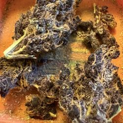 Mission Georgetown Cannabis Dispensary - Royal-jones@soundcloud