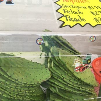 La Guadalupana - a display of a cactus - Bakeries Near Me - Santa Rosa, California