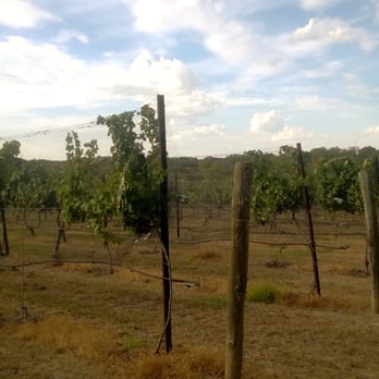 Westcave Cellars Winery & Brewery - Wineries Near Me - Johnson City, Texas Westcave Cellars Winery & Brewery - Wineries Near Me - Johnson City, Texas