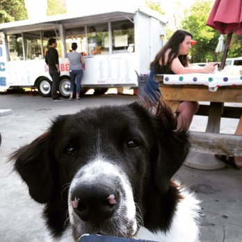 Sno-Beach - Begging for some sno cone - Shaved Ice Near Me - Austin, Texas Sno-Beach - Begging for some sno cone - Shaved Ice Near Me - Austin, Texas