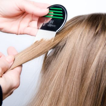 Nit Free Noggins - Lice Services Near Me - Chicago, Illinois Nit Free Noggins - Lice Services Near Me - Chicago, Illinois