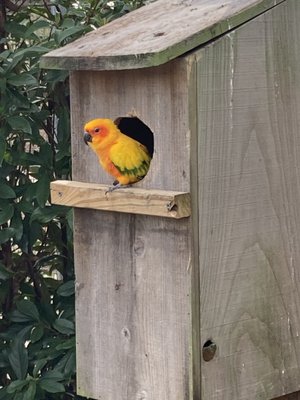 Alabama Gulf Coast Zoo by null
